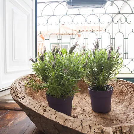 Bica بيت ضيافة Lisboa